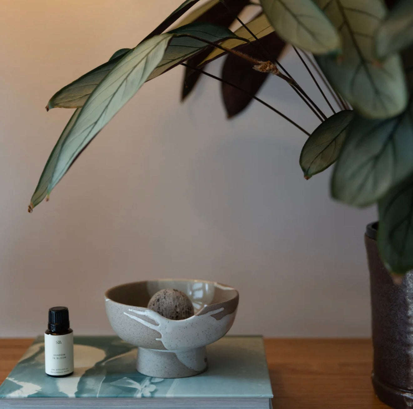 Lunara Scented Diffuser - Shadow In Bloom